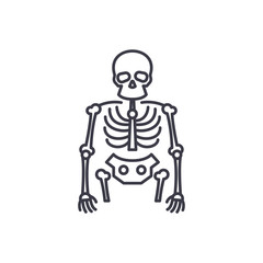 Skeleton linear icon concept. Skeleton line vector sign, symbol, illustration.