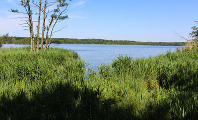 Overview Naarden lake (Naardermeer) in the Netherlands