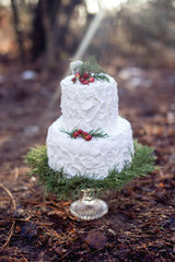 wedding birthday cake white in the forest on the ground in sunlight