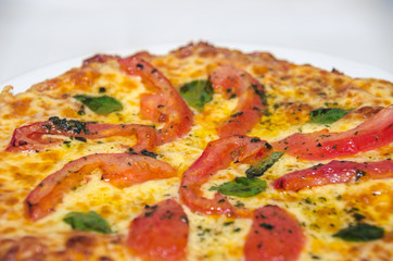 Pizza with melted cheese and tomato slices