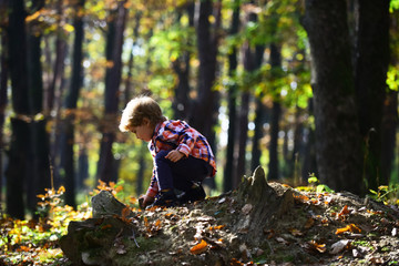 Activity and active rest for kid. Small boy play in autumn forest. Autumn vacation and camping....