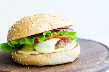 Tasty grilled beef burger
