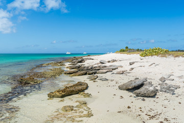 Awesome View at a shoreline beach in the caribbean