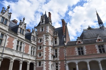Fototapeta na wymiar chateau de Blois