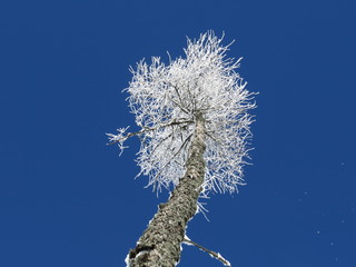 natura © Agata