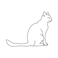 Cat outline on white background