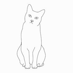Cat outline on white background