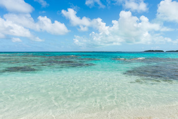 Obraz premium Piękna plaża w archipelagu Los Roques, jedna z najbardziej