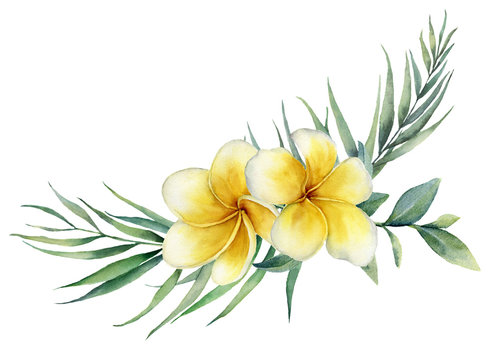 Watercolor floral tropical bouquet with plumeria and palm branch. Hand painted frangipani, eucalyptus isolated on white background. Illustration for design, print, fabric or background.