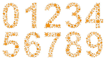 Set of digits from 0 to 9, consisting of yellow autumn leaves on white background