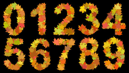 Set of digits from 0 to 9, consisting of big yellow autumn leaves on black background