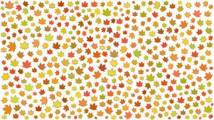 Background of small autumn leaves on white background