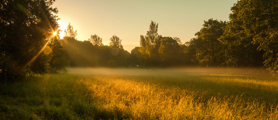 early summer morning