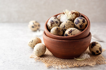 Fresh quail eggs in ceramic bowl on gray stone background