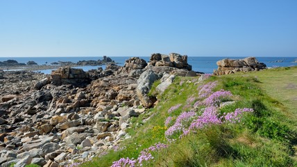 Paysage de la côte bretonne