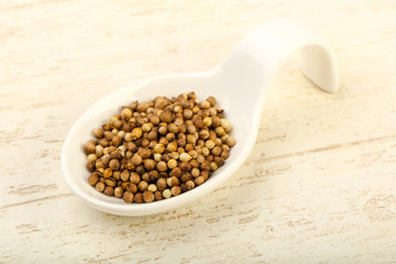 Coriander seeds