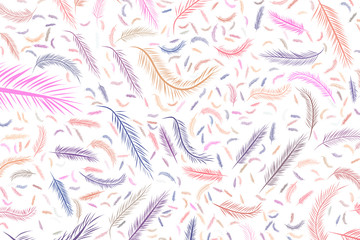 Abstract feather illustrations background. Template, messy, sketch & effect.