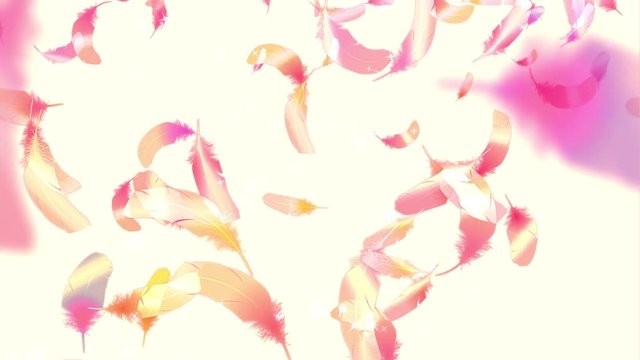 鳥の羽（フェザー）が舞う　ループ