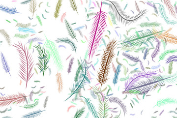 Illustrations of feather. Concept, details, style & digital.