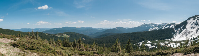 A large green forest in the mountains, surrounded by high mountains in the snow and a beautiful sky on a summer day. Carpathians, Ukraine.