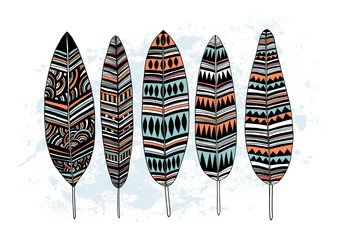 Plum/Five decorative feathers. Vector illustration.