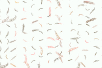 Decorative hand drawn feather illustrations. Decoration, template, abstract & wallpaper.