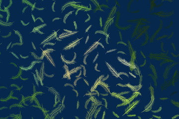 Naklejka premium Abstract illustrations of feather, conceptual. Design, digital, canvas & set.