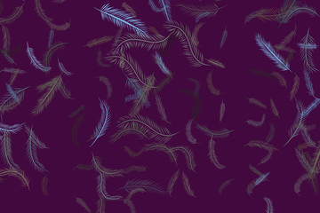 Illustrations of feather. Design, cartoon, sketch & creative.