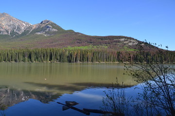 Pyramid Lake in the Morning
