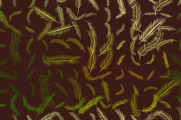 Illustrations of feather. Wallpaper, graphic, digital & template.