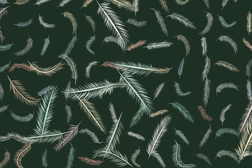 Hand drawn feather illustrations background, good for graphic design, flyers, wallpapers or booklets.