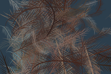 Abstract feather illustrations background. Set, backdrop, art & design.