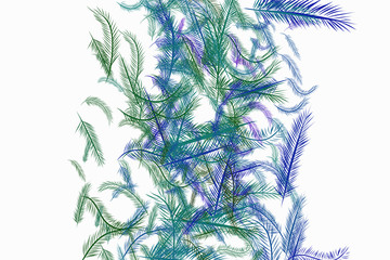 The feather illustrations background abstract, hand drawn. Set, effect, line & messy.