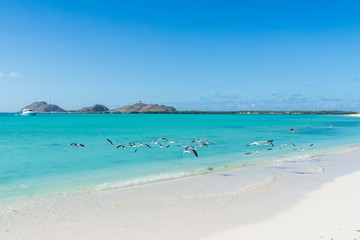  Francisqui island, in Los Roques archipelago, Venezuela