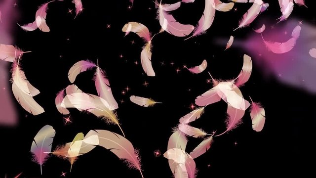 鳥の羽（フェザー）が舞う　ループ　合成サンプル：https://youtu.be/f4yIdkysUwU