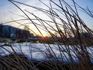 Japan Tokyo Street Photography
