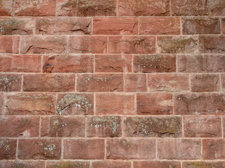 Abstract Texture Background 