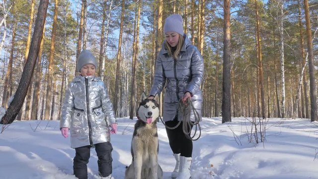 Beautiful woman and small child walking in winter forest with of husky dog. Happy young mother with daughter in the winter park with huskies dog. Friendship pet and human. Siberian husky dog in snow