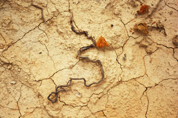 textura natural 