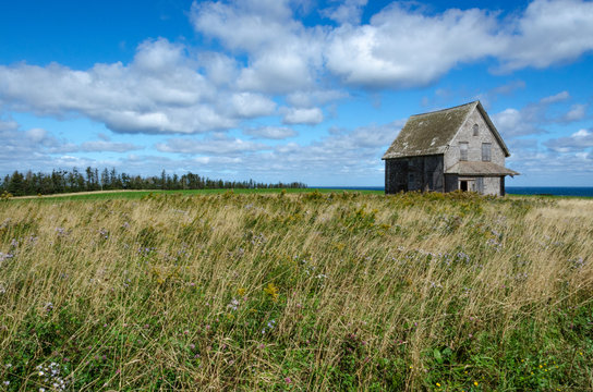 Abandoned School house in meadow with autumn sky and ocean in background