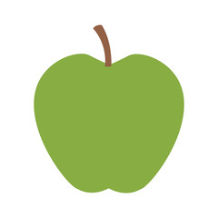 Apple fruit isolated vector illustration graphic design