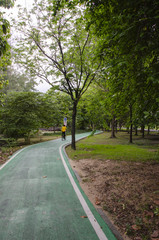 green bike lane in the beautiful nature
