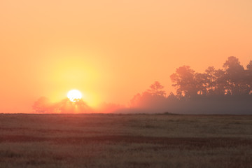 Texas Sun Rising