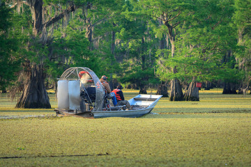 Gone Fishing in the Swamp