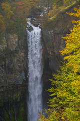 Kegon waterfall in autumn forest