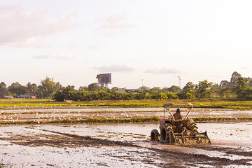 Plowing tracktor in the rice farm