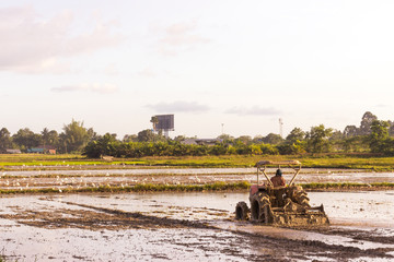 Naklejka premium Plowing tracktor in the rice farm