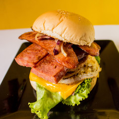 Hambúrguer artesanal brasileiro com duas carnes, queijo, presunto, ovo, alface, tomate e cebola....