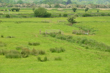 The countryside at Arundel, West Sussex in Summertime.