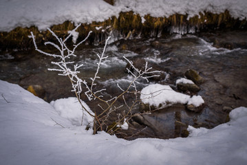 Landscape with hoarfrost on the branches near the lake Zell am See. Austria